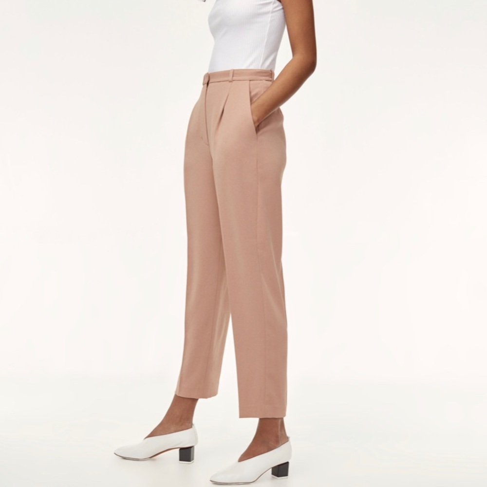 Aritzia trousers